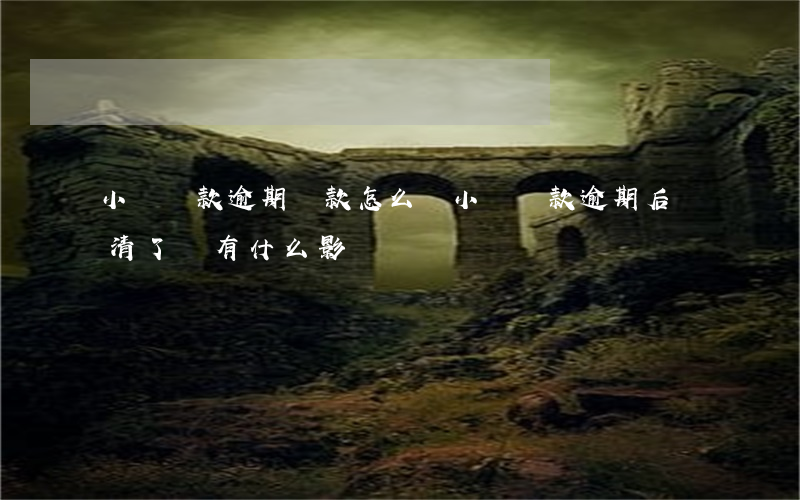 小額貸款逾期還款怎么辦(小額貸款逾期后還清了還有什么影響)
