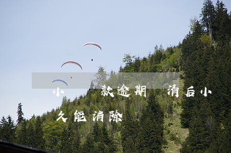 小額貸款逾期還清后(小額貸款逾期還清后多久能消除)