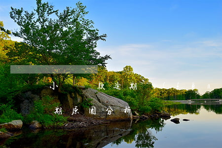 小額貸款逾期風(fēng)險分析(貸款逾期原因分析)