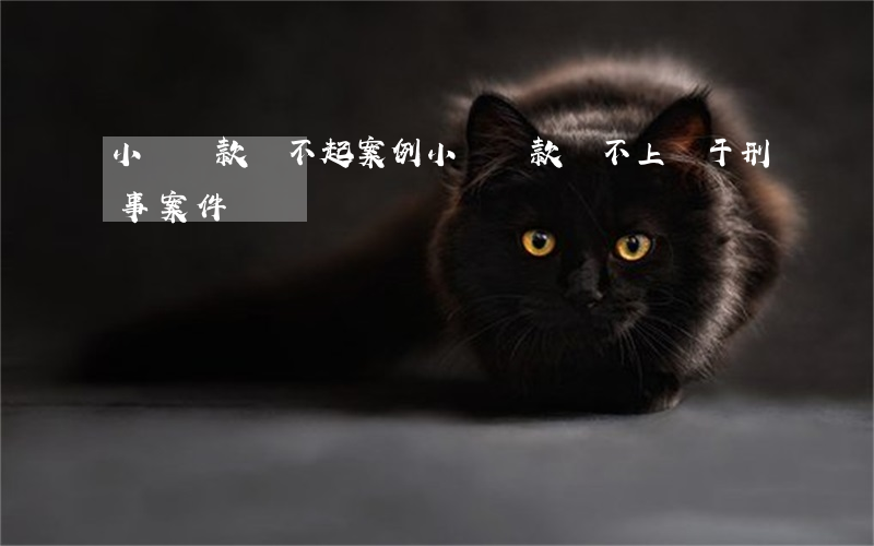 小額貸款還不起案例(小額貸款還不上屬于刑事案件嗎)