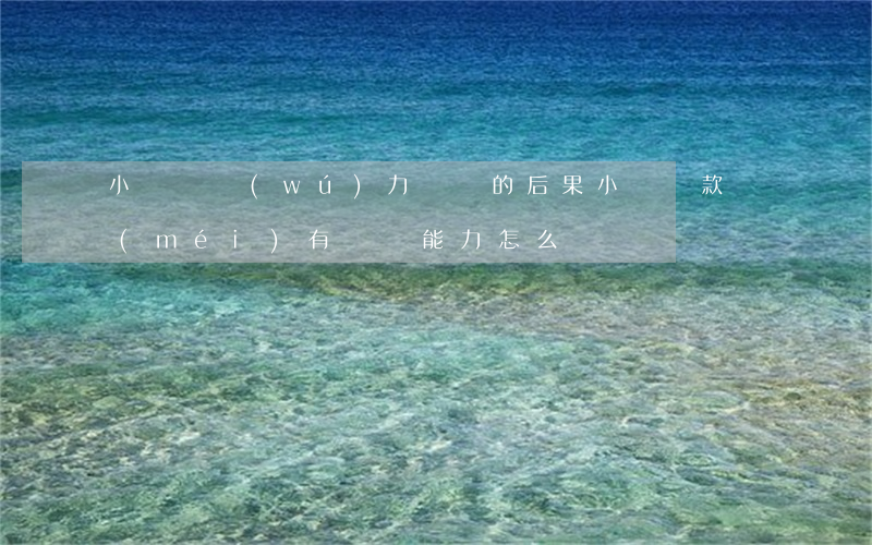 小額貸無(wú)力償還的后果 小額貸款沒(méi)有償還能力怎么辦