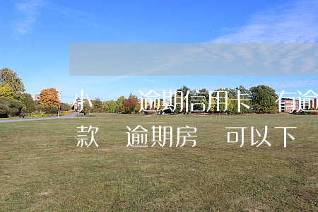 小額貸逾期信用卡沒有逾期(信用卡,小貸有欠款沒逾期,房貸可以下來嗎)