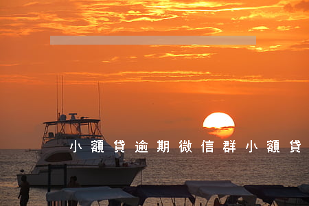 小額貸逾期微信群(小額貸逾期微信群)