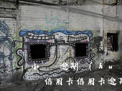 小額貸逾期會(huì)不會(huì)影響信用卡（信用卡逾期金額不大影響貸款）