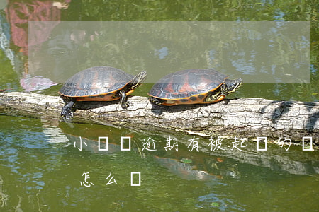 小額貸逾期有被起訴的嗎(小額貸逾期被起訴怎么辦)