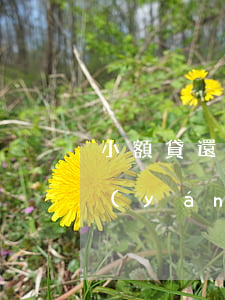 小額貸還款逾期怎么辦(小額貸逾期多久算嚴(yán)重逾期)