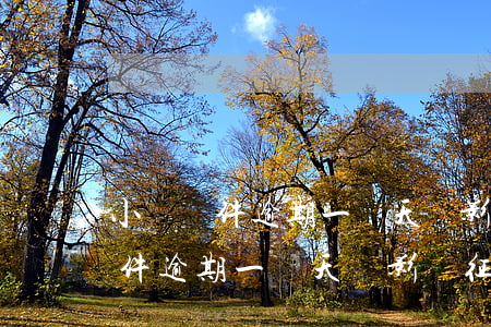 小額軟件逾期一兩天會影響征信嗎-小額軟件逾期一兩天會影響征信嗎知乎
