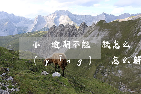 小額逾期不能貸款怎么辦(小貸逾期還不上應(yīng)該怎么解決)