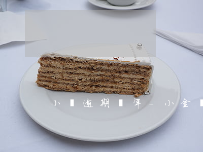 小額逾期兩年-小金額逾期