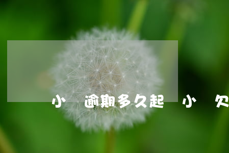 小額逾期多久起訴 小額欠款官司要多久