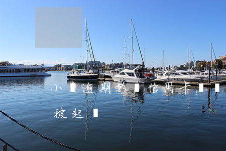 小額逾期影響信用卡嗎貼吧(小額逾期會不會被起訴)