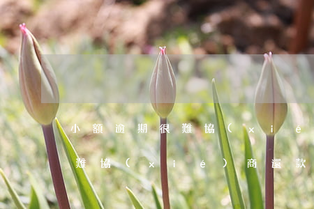 小額逾期很難協(xié)商-小額逾期很難協(xié)商還款嗎