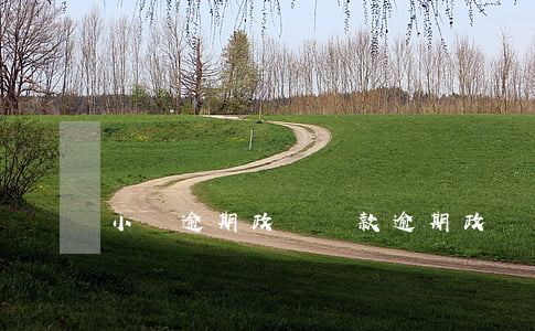 小額逾期政審(貸款逾期政審)