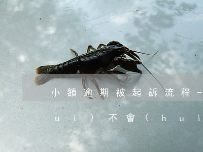 小額逾期被起訴流程-小額貸款逾期會(huì)不會(huì)被法院起訴