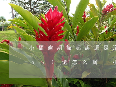 小額逾期被起訴還是沒(méi)錢(qián)還怎么辦-小額貸逾期被起訴