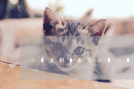 小額逾期貸款怎么辦(小額逾期怎么消除)