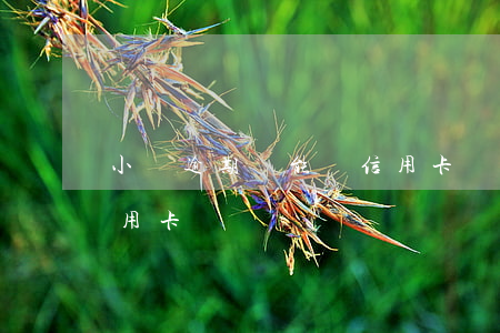 小額逾期還能辦信用卡嗎(逾期了還可以辦信用卡嗎)