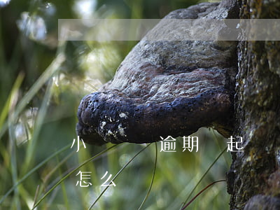 小額還唄逾期會起訴嗎 還唄一直逾期不還會怎么樣