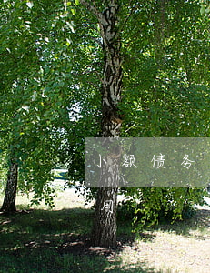 小额债务纠纷起诉流程（小额债务纠纷起诉费用）