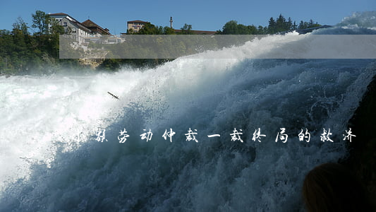 小额劳动仲裁一裁终局的救济