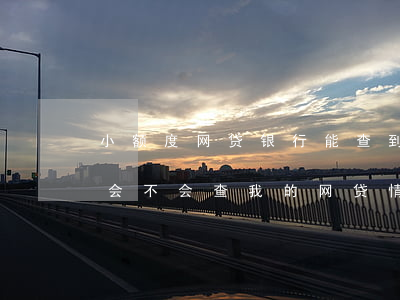 小额度网贷银行能查到吗(我在银行贷款银行会不会查我的网贷情况)