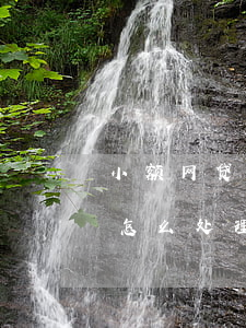 小额网贷保险公司代偿了(网贷被担保代偿的怎么处理)