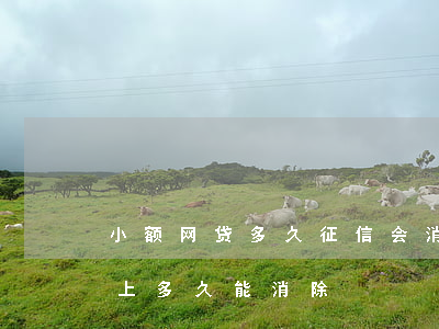 小额网贷多久征信会消掉(网贷的记录在征信上多久能消除)