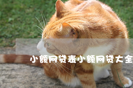 小额网贷表,小额网贷大全 小额网贷表,小额网贷大全