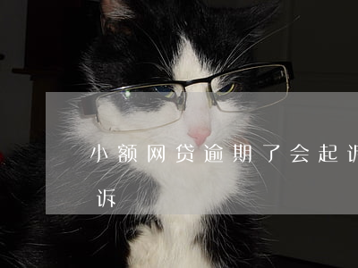 小额网贷逾期了会起诉嘛(哪些网贷逾期会起诉)