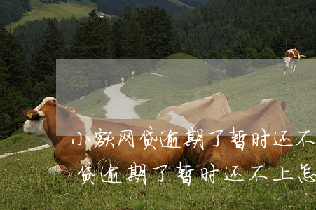 小额网贷逾期了暂时还不上怎么办-小额网贷逾期了暂时还不上怎么办