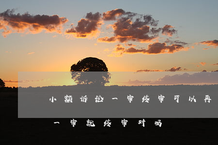小额诉讼一审终审可以再审吗(小额民事诉讼一审就终审对吗)