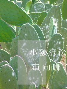 小额诉讼再审后可以上诉吗(小额诉讼程序再审向哪个法院申请)