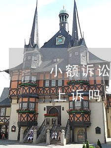 小额诉讼案件可以上诉吗(小额诉讼案件可以上诉吗)