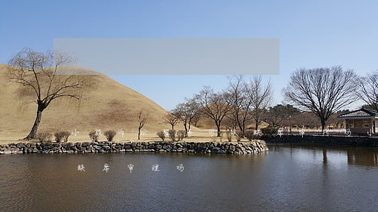 小额诉讼程序可以缺席审判吗(小额诉讼可以缺席审理吗)