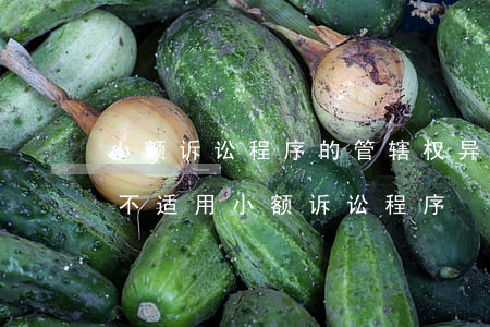小额诉讼程序的管辖权异议可以上诉吗(民诉不适用小额诉讼程序)