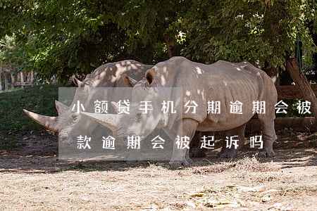 小额贷手机分期逾期会被起诉吗(手机分期贷款逾期会被起诉吗)