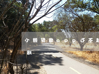 小额贷款app还不起(小额贷款还不起的悲剧)