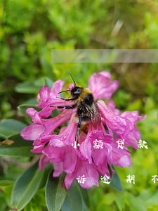 小额贷款公司逾期多久会起诉(小贷公司会起诉逾期不还的客户吗)