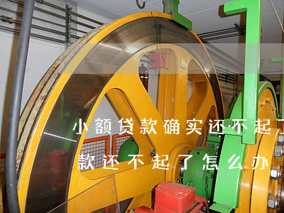 小额贷款确实还不起了怎么办(在小贷公司贷款还不起了怎么办)