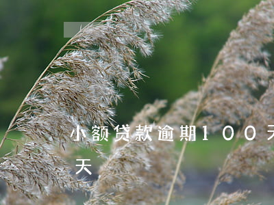小额贷款逾期100天(小额贷款逾期100天)