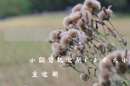 小额贷款逾期180天(小额贷逾期多久算严重逾期)