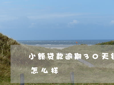 小额贷款逾期30天(银行贷款逾期30天会怎么样)