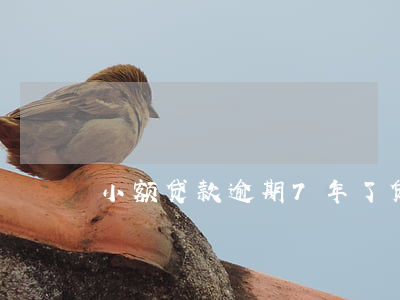 小额贷款逾期7年了(贷款逾期七个月严重吗)