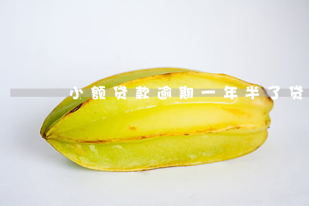 小额贷款逾期一年半了(贷款逾期一两个月)