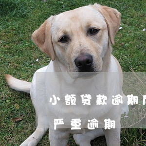 小额贷款逾期后怎么还款(小额贷逾期多久算严重逾期)