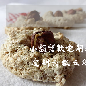 小额贷款逾期天数五级分类正常-小额贷款逾期天数五级分类正常吗