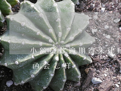 小额贷款逾期寄来律师函(收到小额贷款律师函会怎样)