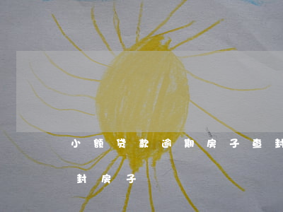 小额贷款逾期房子查封(贷款逾期多久银行查封房子)