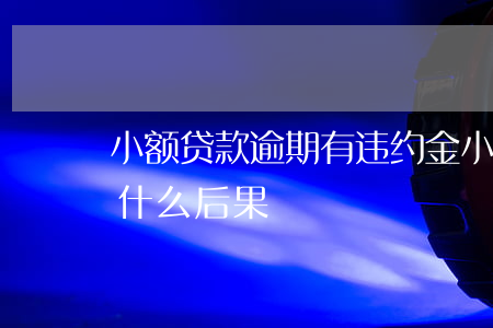 小额贷款逾期有违约金(小额贷款逾期了会有什么后果)