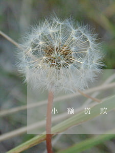 小额贷款逾期没人催款(没有贷款却收到催款)